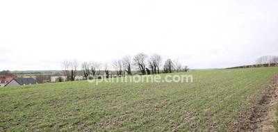 Terrain à Pernes en Pas-de-Calais (62) de 15273 m² à vendre au prix de 100000€ - 3