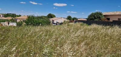 Terrain à Adissan en Hérault (34) de 802 m² à vendre au prix de 178500€ - 3