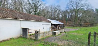 Terrain à Coulounieix-Chamiers en Dordogne (24) de 24000 m² à vendre au prix de 95000€ - 4