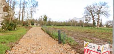 Terrain à Plancoët en Côtes-d'Armor (22) de 987 m² à vendre au prix de 78000€ - 3