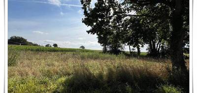 Terrain à Kerfourn en Morbihan (56) de 1081 m² à vendre au prix de 33000€ - 2