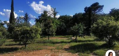 Terrain à Lorgues en Var (83) de 1092 m² à vendre au prix de 131000€ - 1