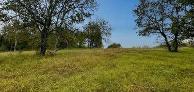 Terrain à Bassillac et Auberoche en Dordogne (24) de 4691 m² à vendre au prix de 29000€ - 3