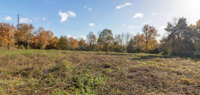 Terrain à Pruniers-en-Sologne en Loir-et-Cher (41) de 1010 m² à vendre au prix de 32990€ - 4