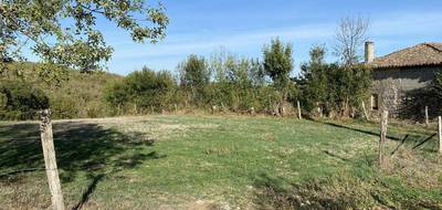 Terrain à Bruniquel en Tarn-et-Garonne (82) de 1178 m² à vendre au prix de 37000€ - 4