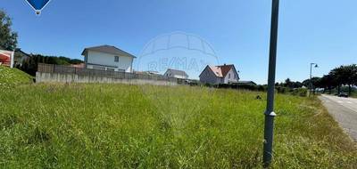 Terrain à Werentzhouse en Haut-Rhin (68) de 923 m² à vendre au prix de 103000€ - 2