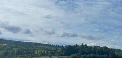 Terrain à Wisembach en Vosges (88) de 1200 m² à vendre au prix de 39000€ - 4