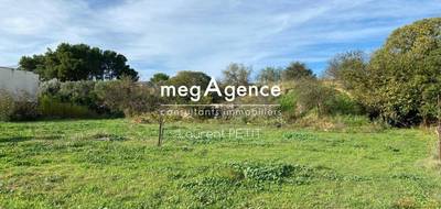 Terrain à Paulhan en Hérault (34) de 2226 m² à vendre au prix de 374000€ - 3