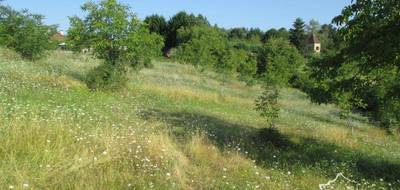 Terrain à Coux et Bigaroque-Mouzens en Dordogne (24) de 3445 m² à vendre au prix de 43000€ - 2