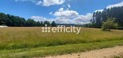 Terrain à Ruynes-en-Margeride en Cantal (15) de 10021 m² à vendre au prix de 53889€ - 2