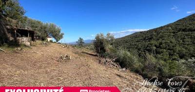 Terrain à Caixas en Pyrénées-Orientales (66) de 6800 m² à vendre au prix de 100000€ - 2