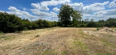 Terrain à Huiron en Marne (51) de 2858 m² à vendre au prix de 54000€ - 4