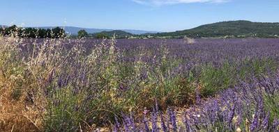 Terrain à Rustrel en Vaucluse (84) de 1311 m² à vendre au prix de 165000€ - 3