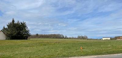 Terrain à Vernou-en-Sologne en Loir-et-Cher (41) de 3024 m² à vendre au prix de 30990€ - 3