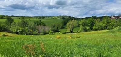 Terrain à Saint-Marcel-de-Félines en Loire (42) de 685 m² à vendre au prix de 40000€ - 2