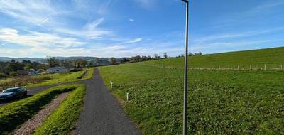 Terrain à Saint-Martin-d'Estréaux en Loire (42) de 827 m² à vendre au prix de 25000€ - 2