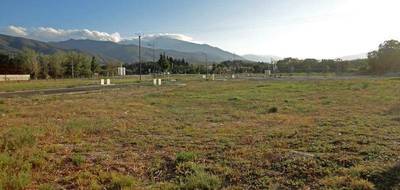 Terrain à Ille-sur-Têt en Pyrénées-Orientales (66) de 1240 m² à vendre au prix de 0€ - 1