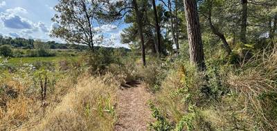 Terrain à Rieux-Minervois en Aude (11) de 1500 m² à vendre au prix de 54000€ - 3