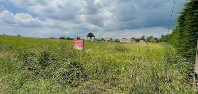 Terrain à Noyen-sur-Sarthe en Sarthe (72) de 8780 m² à vendre au prix de 86000€ - 1