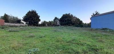 Terrain à Puisieux en Pas-de-Calais (62) de 0 m² à vendre au prix de 50000€ - 1