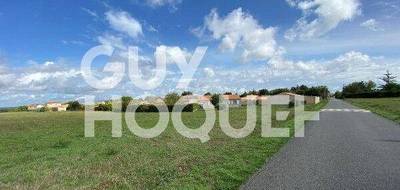 Terrain à Vix en Vendée (85) de 8500 m² à vendre au prix de 49500€ - 2