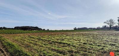 Terrain à Saint-Georges en Lot-et-Garonne (47) de 27494 m² à vendre au prix de 69000€ - 3