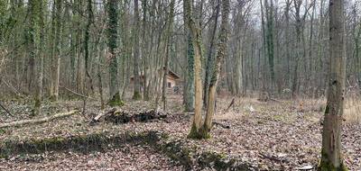 Terrain à Malroy en Moselle (57) de 61797 m² à vendre au prix de 190000€ - 3