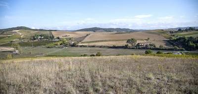 Terrain à Limoux en Aude (11) de 27300 m² à vendre au prix de 184000€ - 4