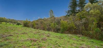 Terrain à Caunes-Minervois en Aude (11) de 1600 m² à vendre au prix de 80000€ - 4