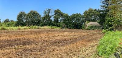 Terrain à Bannalec en Finistère (29) de 2515 m² à vendre au prix de 30000€ - 1