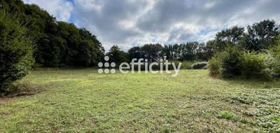 Terrain à Blanzay en Vienne (86) de 6260 m² à vendre au prix de 11000€ - 2