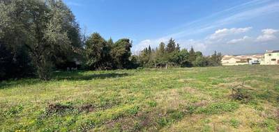 Terrain à Ouveillan en Aude (11) de 730 m² à vendre au prix de 127300€ - 3