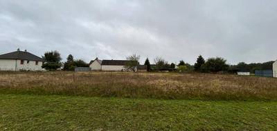 Terrain à Vernou-en-Sologne en Loir-et-Cher (41) de 928 m² à vendre au prix de 22000€ - 2