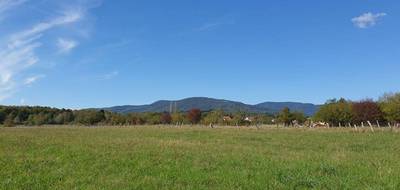 Terrain à Belfort en Territoire de Belfort (90) de 1423 m² à vendre au prix de 65990€ - 2