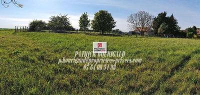 Terrain à Varennes en Indre-et-Loire (37) de 7292 m² à vendre au prix de 157000€ - 1