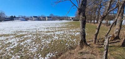 Terrain à Saint-Flour en Cantal (15) de 10540 m² à vendre au prix de 63240€ - 2