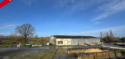 Terrain à Juvigné en Mayenne (53) de 5449 m² à vendre au prix de 150000€ - 1