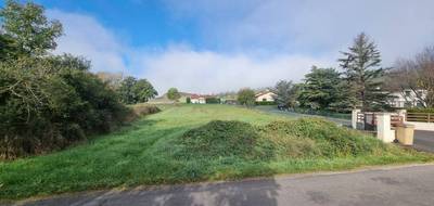 Terrain à Saint-Vincent en Haute-Loire (43) de 1000 m² à vendre au prix de 40000€ - 3