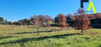 Terrain à Brissac en Hérault (34) de 1001 m² à vendre au prix de 132000€ - 4