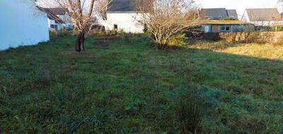 Terrain à Crach en Morbihan (56) de 664 m² à vendre au prix de 249500€ - 4