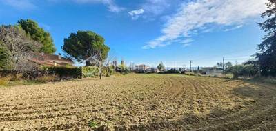 Terrain à Tourbes en Hérault (34) de 1777 m² à vendre au prix de 485000€ - 4