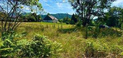 Terrain à Le Thillot en Vosges (88) de 1091 m² à vendre au prix de 33000€ - 2