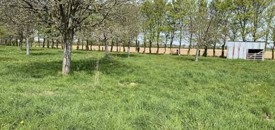 Terrain à Bayeux en Calvados (14) de 502 m² à vendre au prix de 57600€ - 4