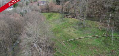 Terrain à Forgès en Corrèze (19) de 13515 m² à vendre au prix de 20000€ - 4