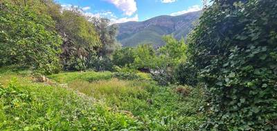 Terrain à Occhiatana en Haute-Corse (2B) de 585 m² à vendre au prix de 108000€ - 1