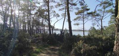 Terrain à Baden en Morbihan (56) de 305 m² à vendre au prix de 295000€ - 1