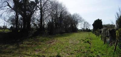 Terrain à Le Trévoux en Finistère (29) de 1102 m² à vendre au prix de 55000€ - 3