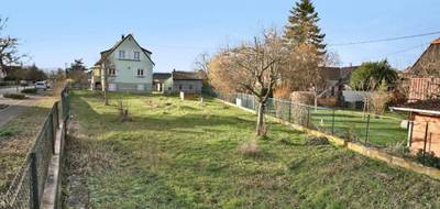 Terrain à Porte du Ried en Haut-Rhin (68) de 606 m² à vendre au prix de 88000€ - 3