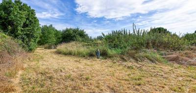 Terrain à Rilly-sur-Loire en Loir-et-Cher (41) de 2860 m² à vendre au prix de 52000€ - 4