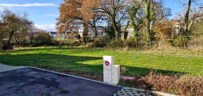 Terrain à Vannes en Morbihan (56) de 587 m² à vendre au prix de 288750€ - 3